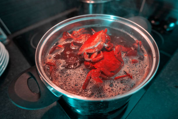 What Types of Boiled Crabs Are Offered in Lakewood? 